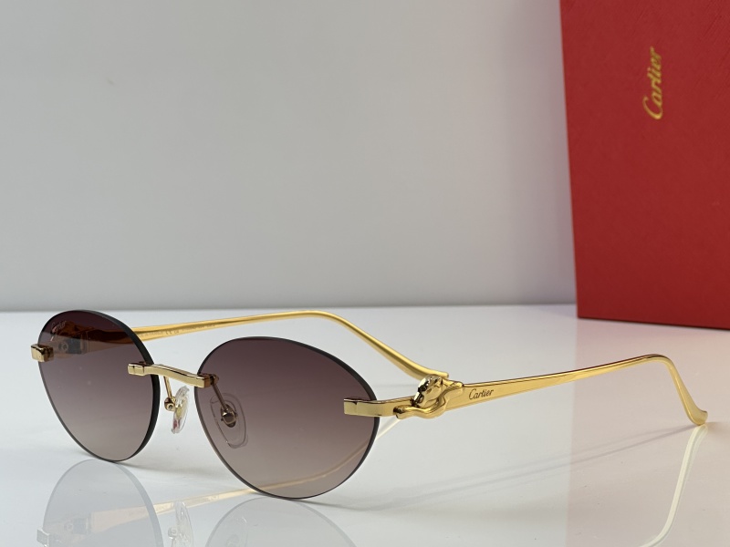 Cartier Glasses 08smh43 (5)