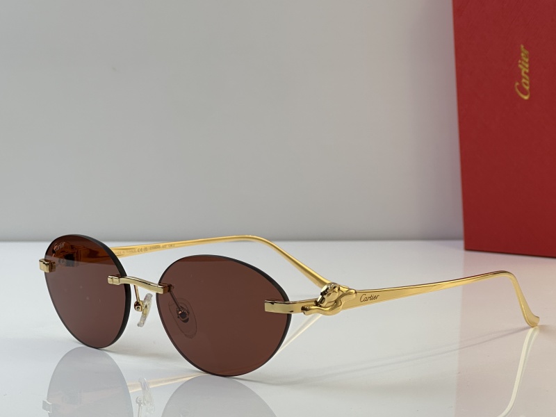 Cartier Glasses 08smh43 (6)