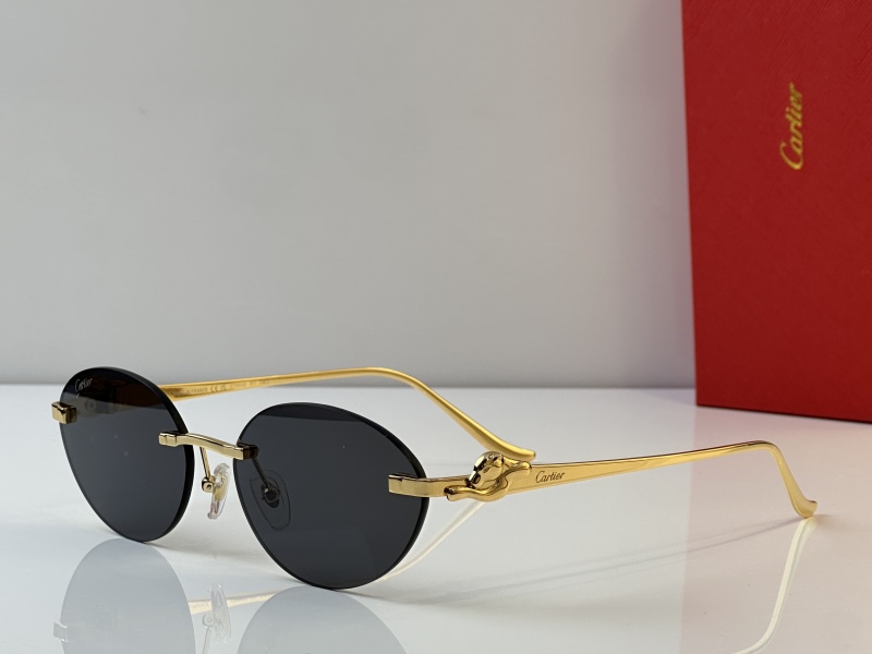 Cartier Glasses 08smh43 (7)