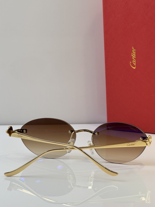 Cartier Glasses 08smh43 (8)