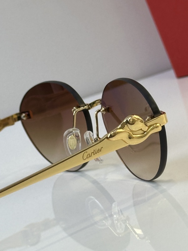 Cartier Glasses 08smh43 (9)