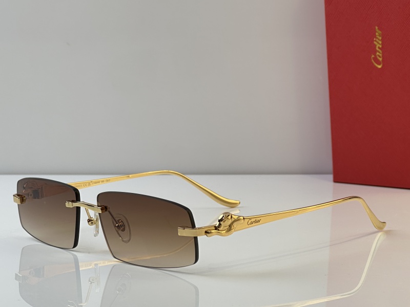 Cartier Glasses 08smh44 (1)