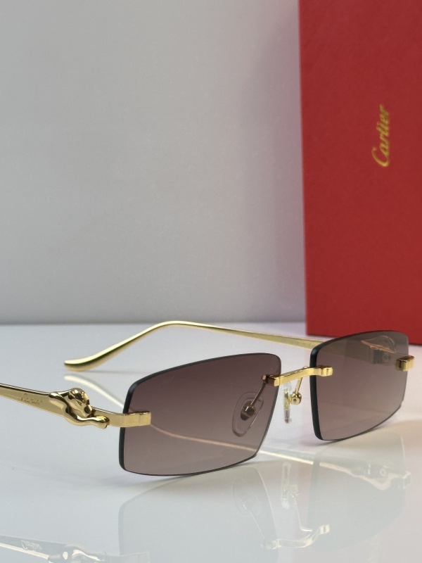 Cartier Glasses 08smh44 (10)