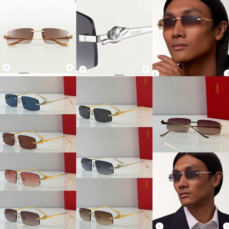 Cartier Glasses 08smh44 (12)