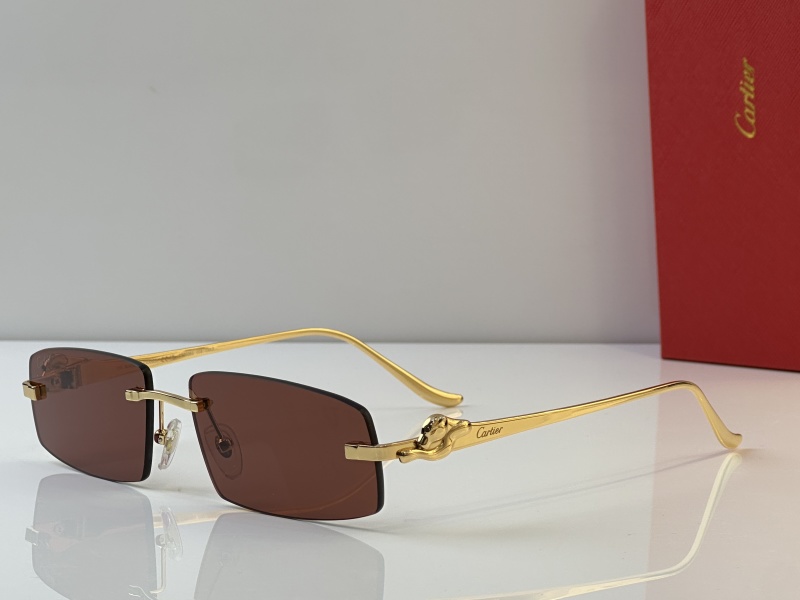 Cartier Glasses 08smh44 (2)