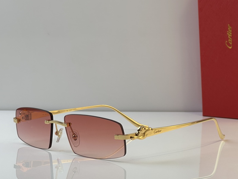 Cartier Glasses 08smh44 (3)