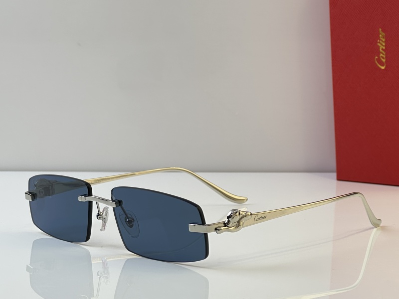 Cartier Glasses 08smh44 (4)