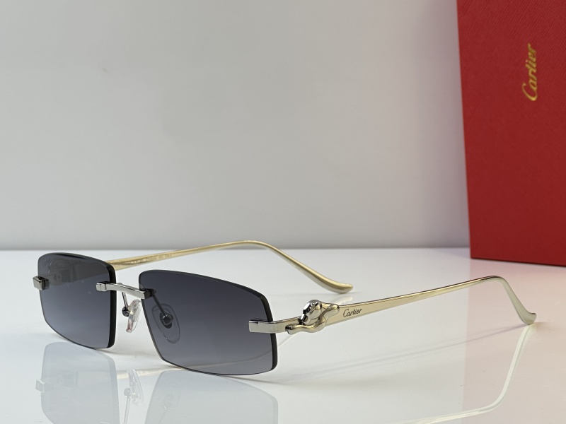 Cartier Glasses 08smh44 (5)