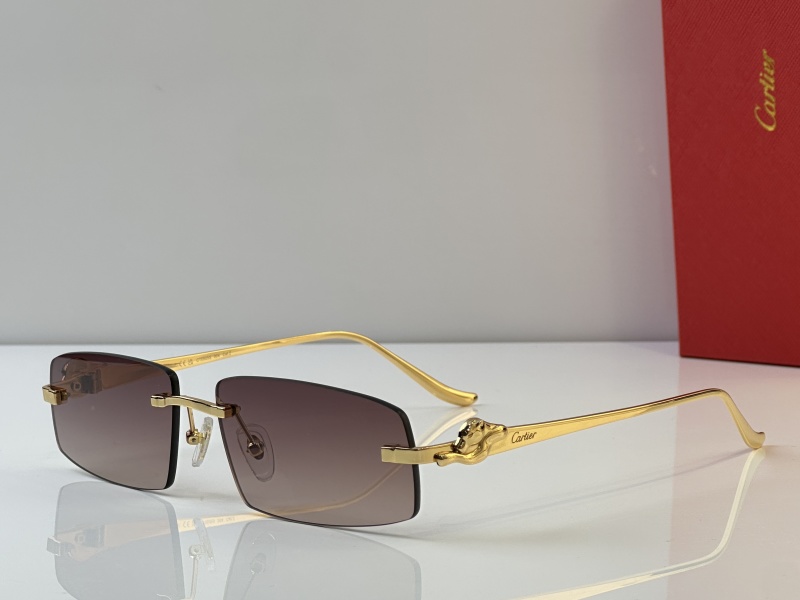 Cartier Glasses 08smh44 (6)