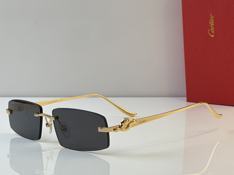 Cartier Glasses 08smh44 (7)