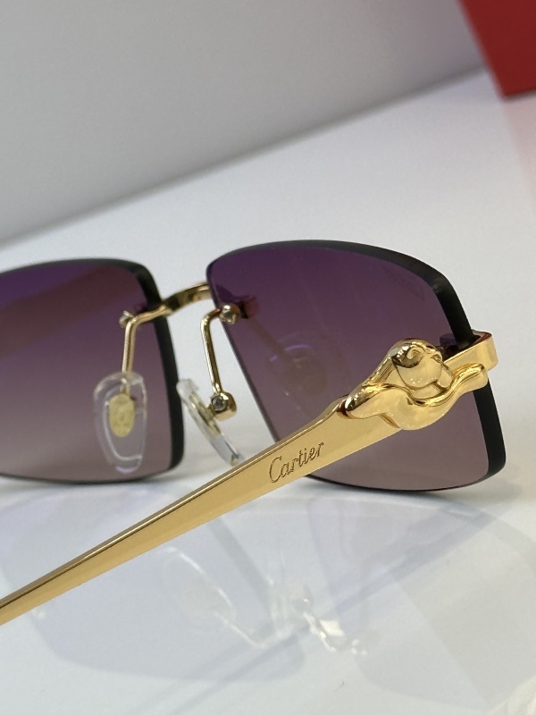 Cartier Glasses 08smh44 (8)