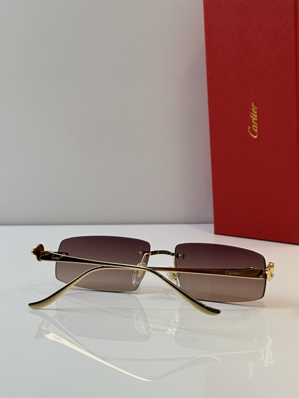 Cartier Glasses 08smh44 (9)