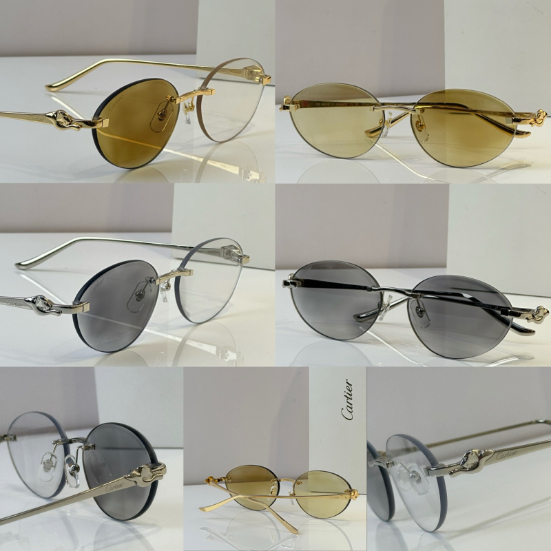 Cartier Glasses 08smh45 (10)