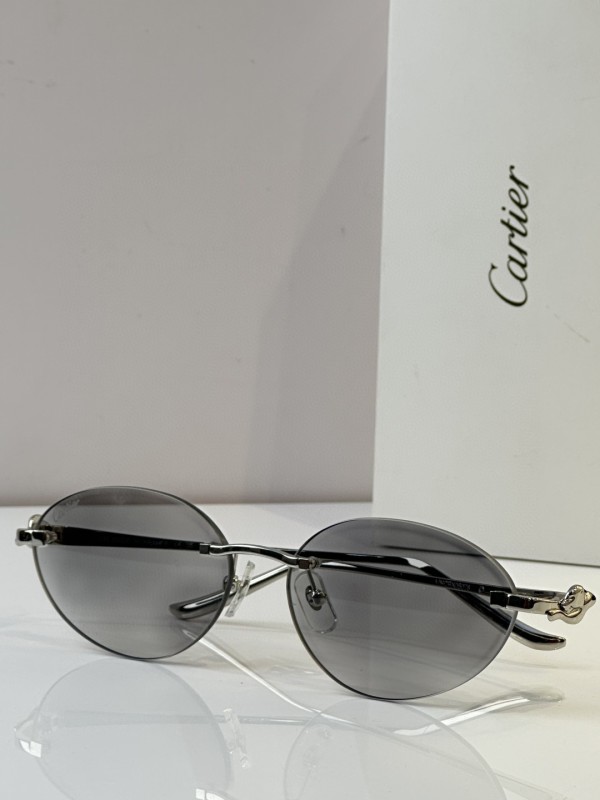 Cartier Glasses 08smh45 (3)