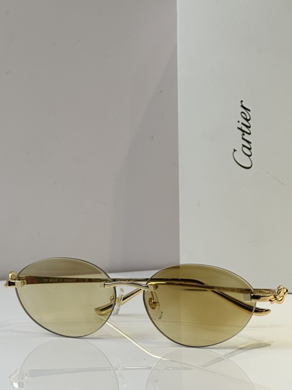 Cartier Glasses 08smh45 (4)