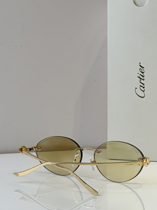 Cartier Glasses 08smh45 (7)