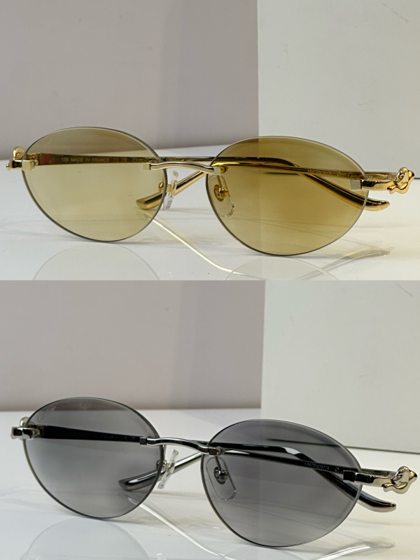 Cartier Glasses 08smh45 (9)