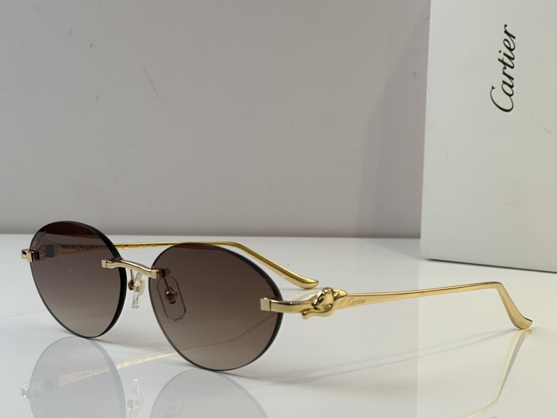 Cartier Glasses 08smh46 (1)