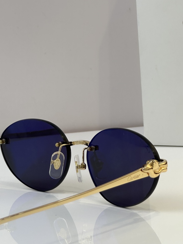 Cartier Glasses 08smh46 (10)