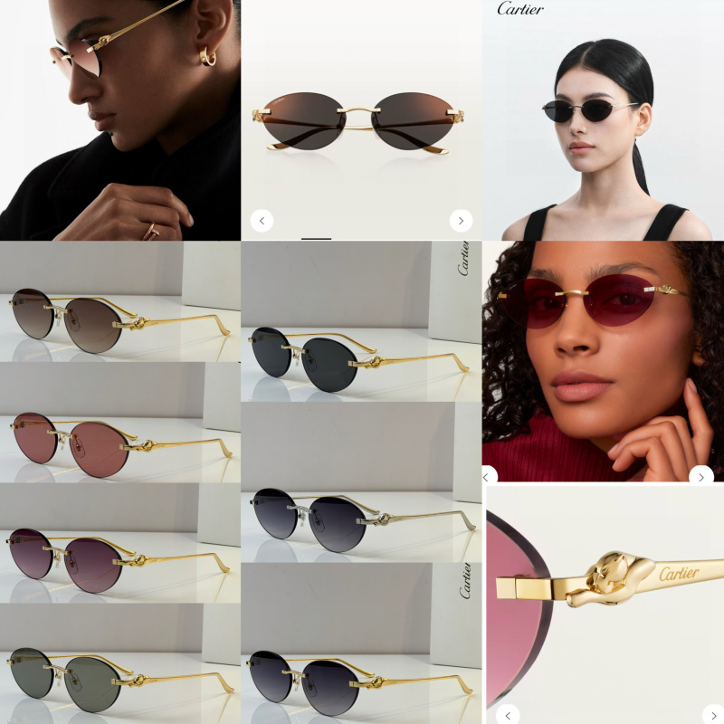 Cartier Glasses 08smh46 (11)