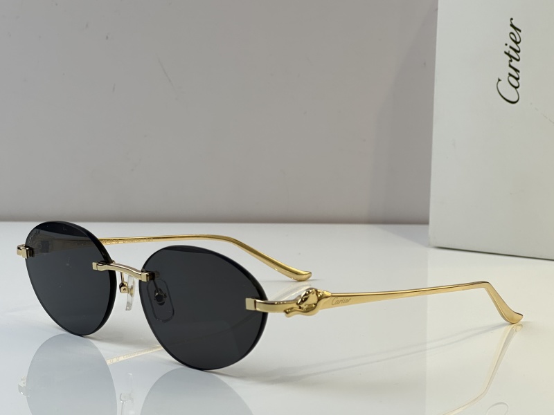 Cartier Glasses 08smh46 (2)