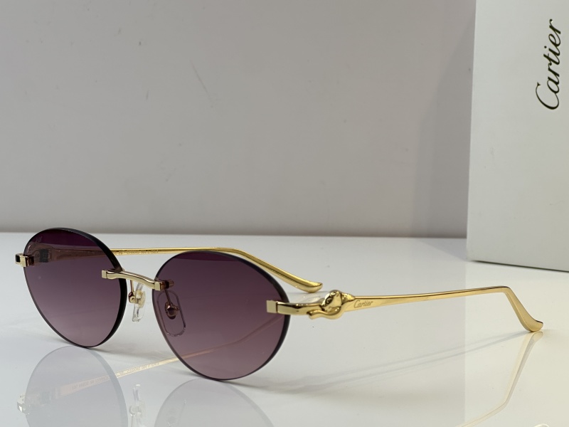 Cartier Glasses 08smh46 (3)