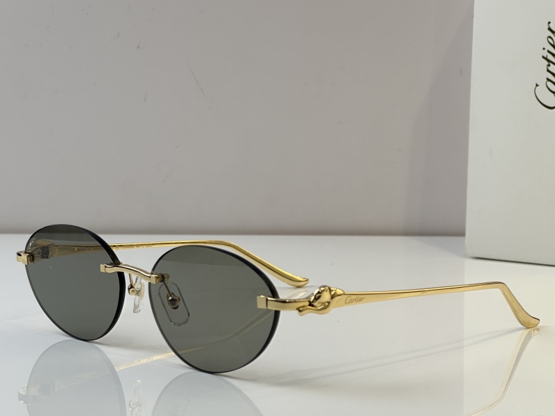 Cartier Glasses 08smh46 (4)