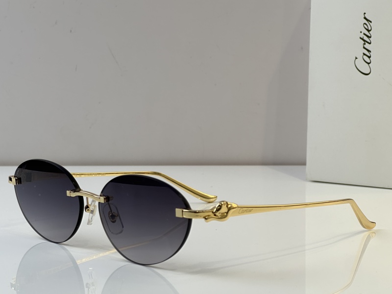 Cartier Glasses 08smh46 (6)