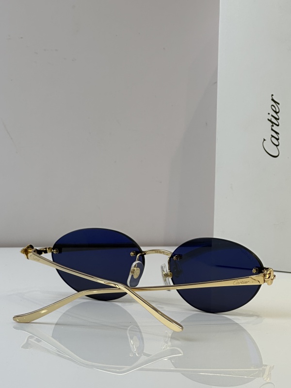 Cartier Glasses 08smh46 (8)