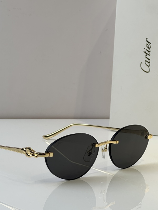 Cartier Glasses 08smh46 (9)