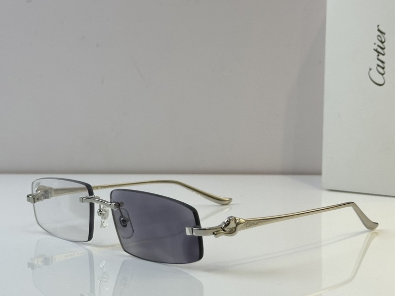 Cartier Glasses 08smh47 (1)