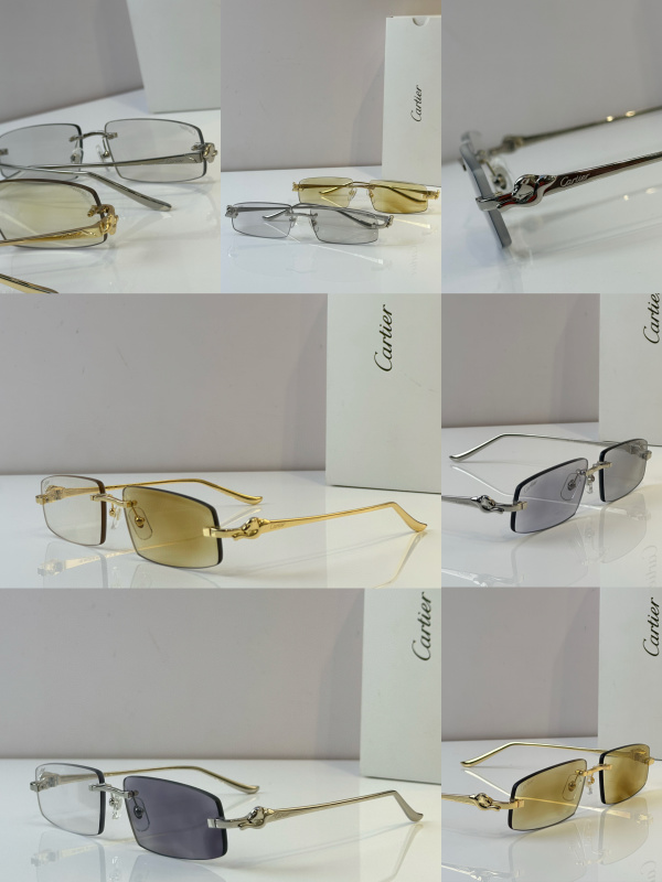 Cartier Glasses 08smh47 (10)