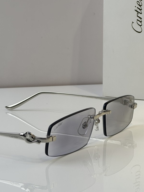 Cartier Glasses 08smh47 (4)