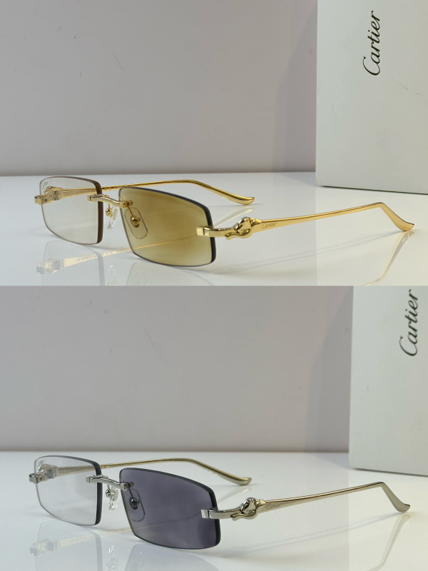 Cartier Glasses 08smh47 (9)