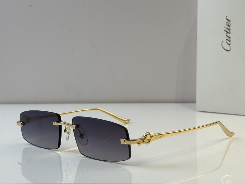 Cartier Glasses 08smh48 (2)