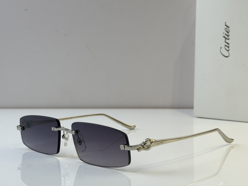 Cartier Glasses 08smh48 (3)