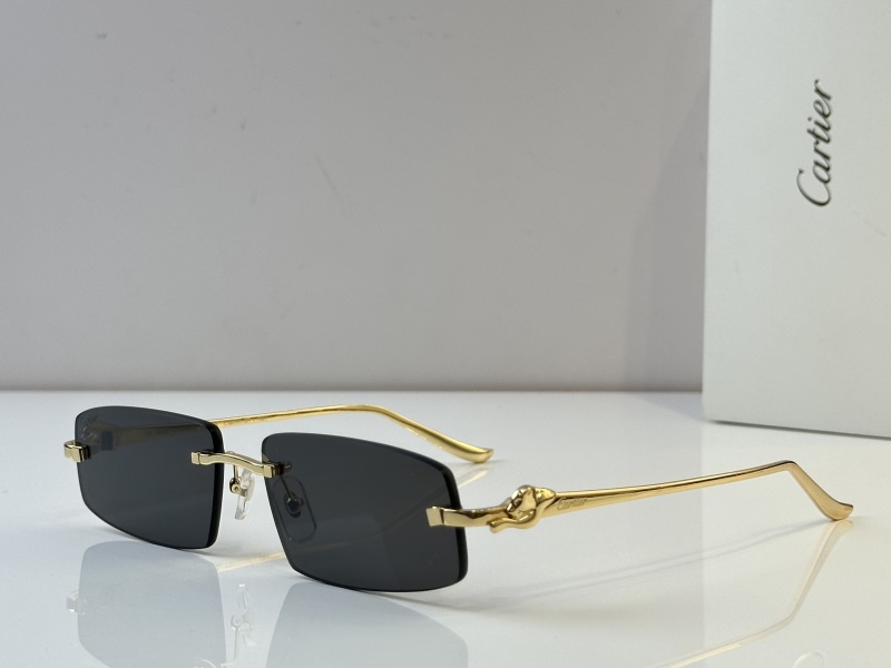 Cartier Glasses 08smh48 (4)