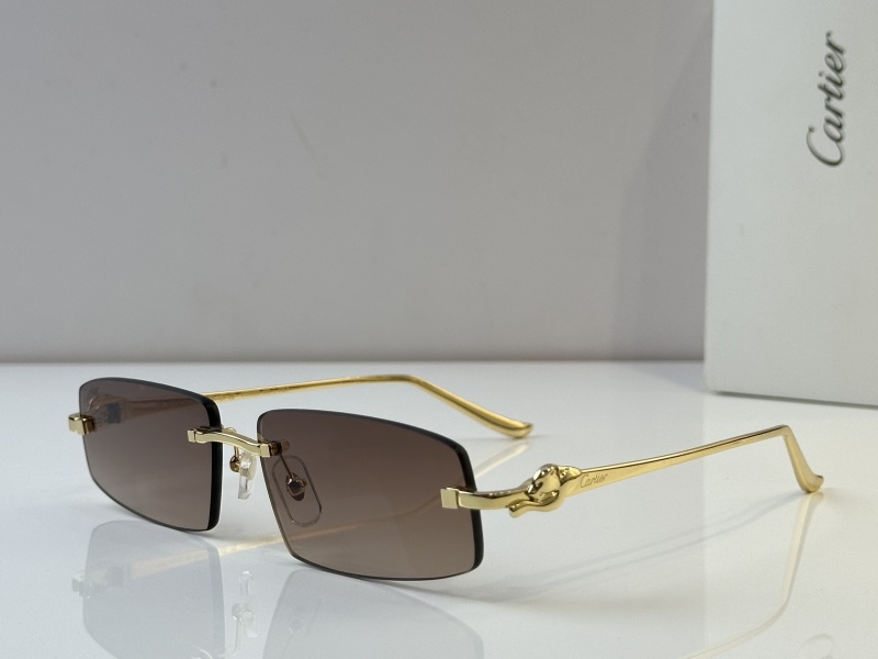 Cartier Glasses 08smh48 (5)