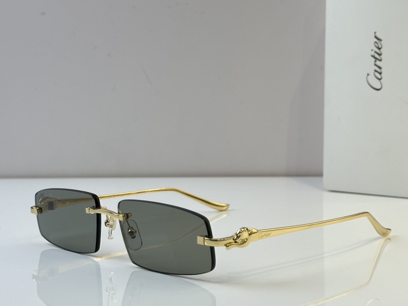 Cartier Glasses 08smh48 (6)