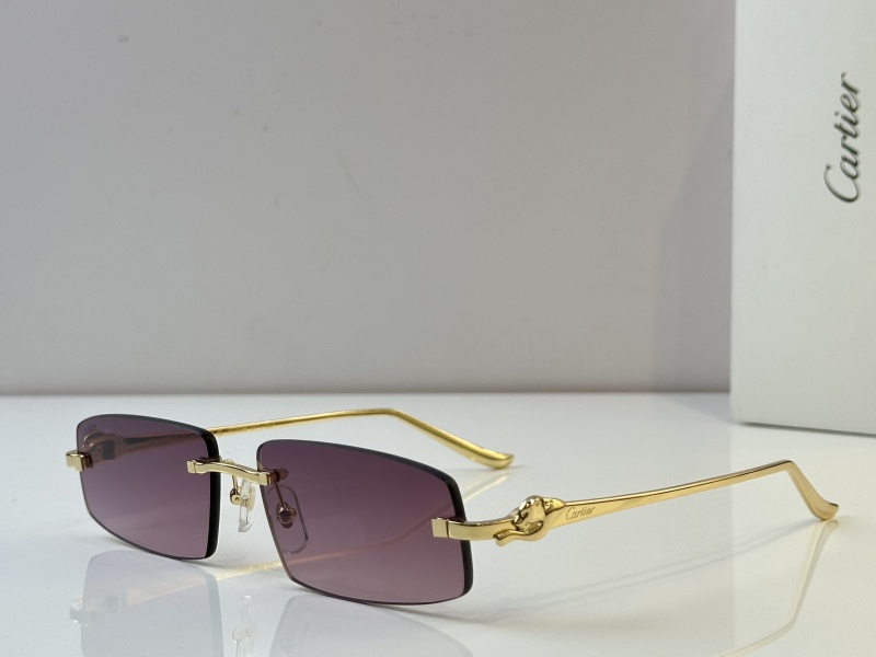 Cartier Glasses 08smh48 (7)