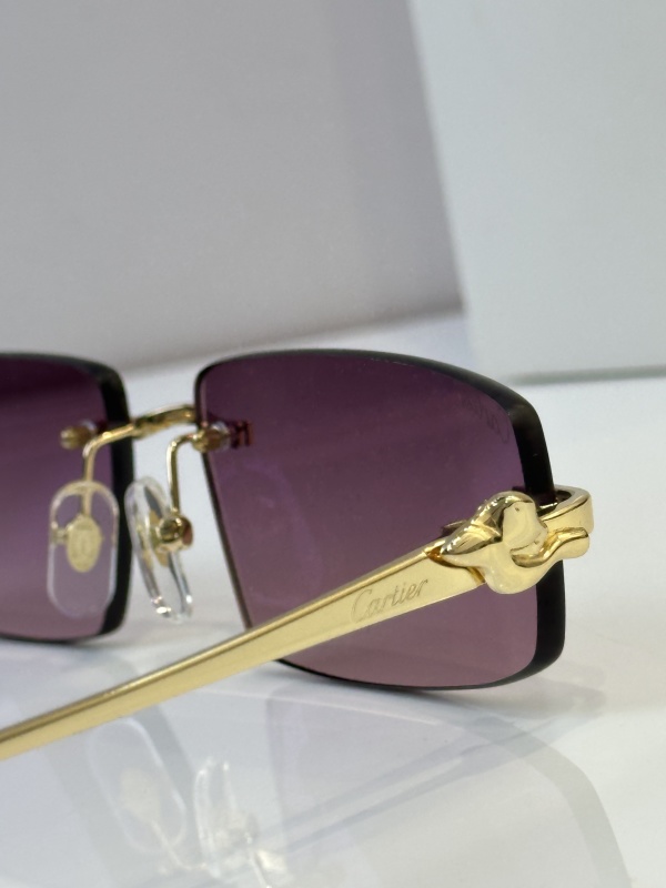 Cartier Glasses 08smh48 (8)