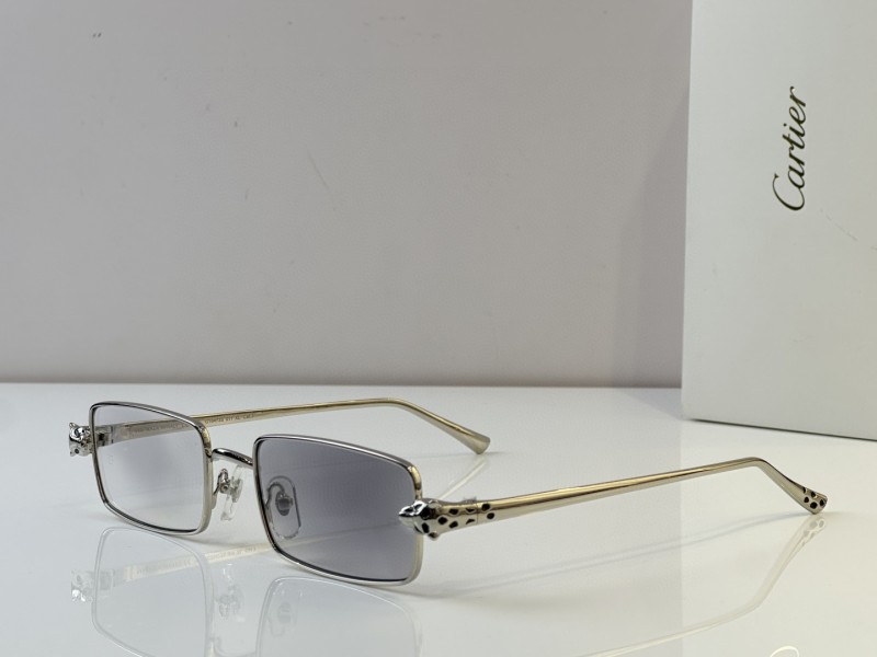 Cartier Glasses 08smh49 (1)
