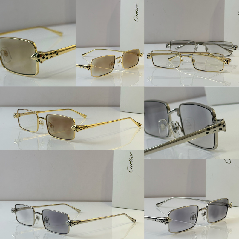 Cartier Glasses 08smh49 (10)
