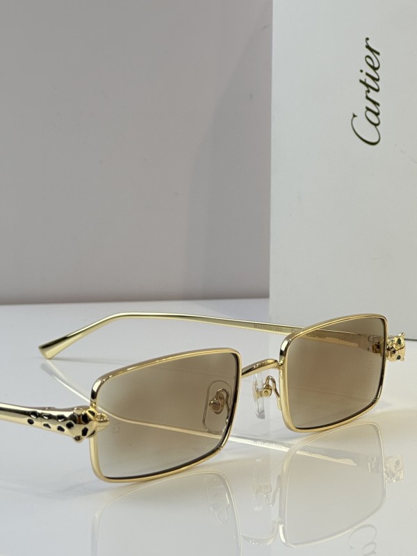Cartier Glasses 08smh49 (4)