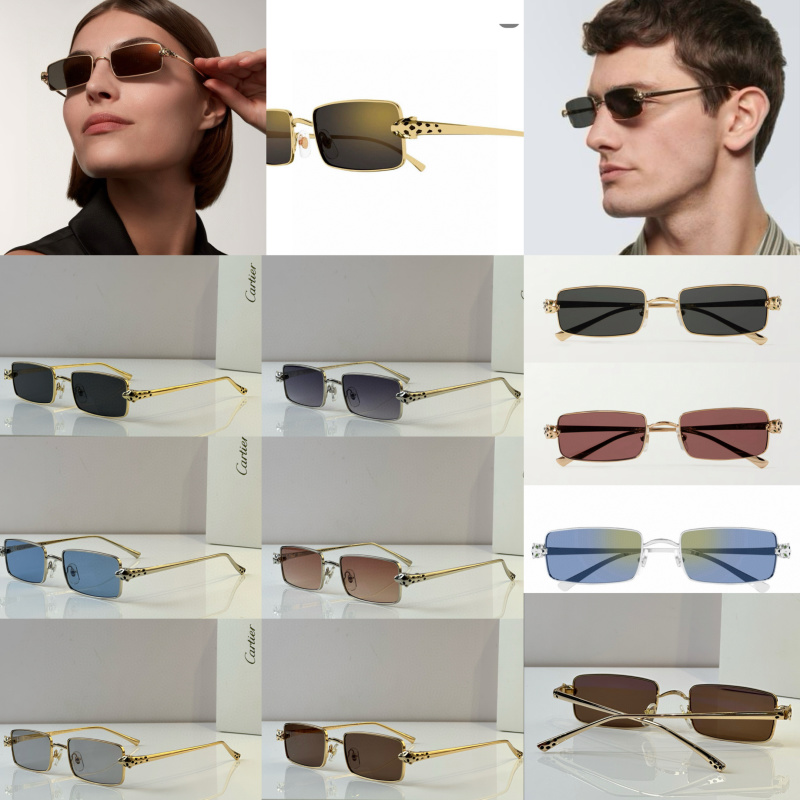 Cartier Glasses 08smh50 (10)