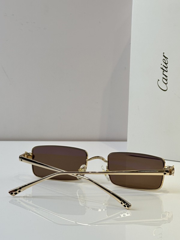 Cartier Glasses 08smh50 (7)