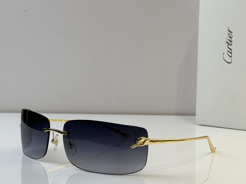 Cartier Glasses 08smh51 (1)