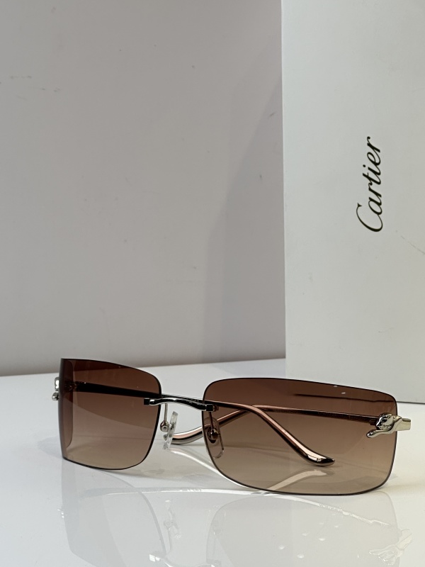 Cartier Glasses 08smh51 (11)