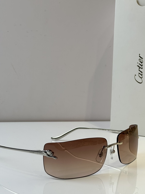 Cartier Glasses 08smh51 (12)