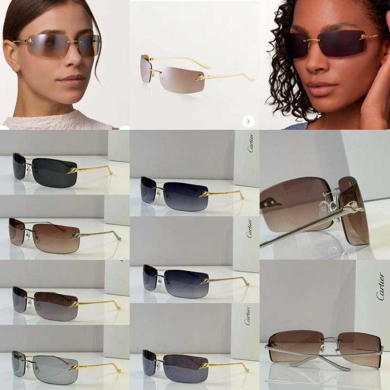 Cartier Glasses 08smh51 (13)